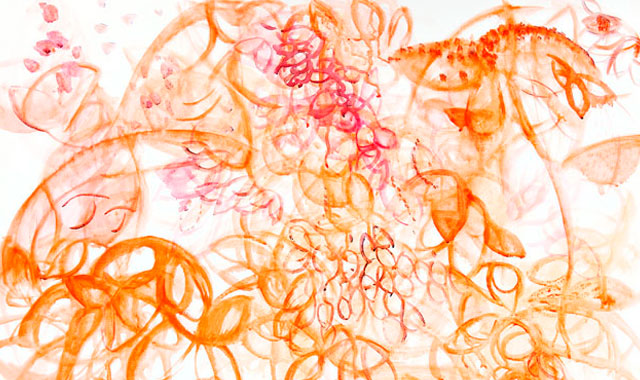 Startseitenbild Oils